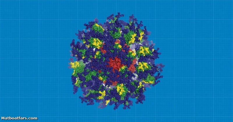 آزمایش موفق انسانی واکسن جدید ایدز
