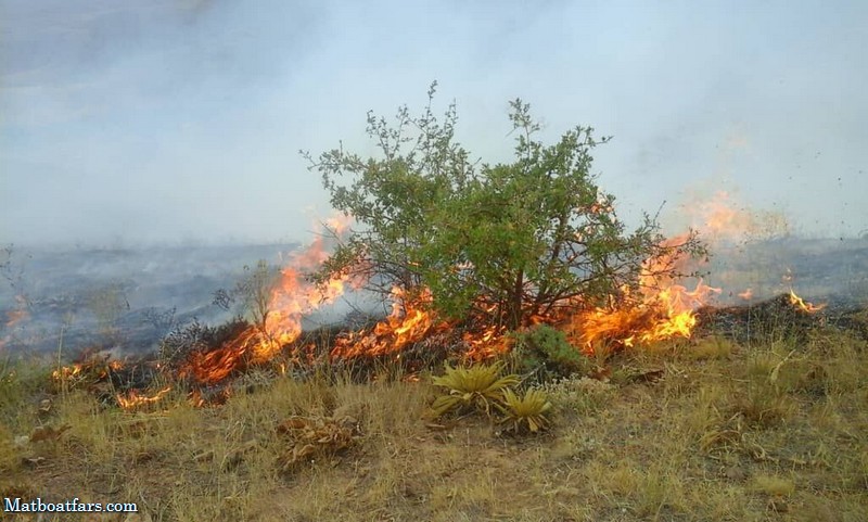 آتش همچنان در طبیعت کامفیروز مرودشت جولان می‌دهد