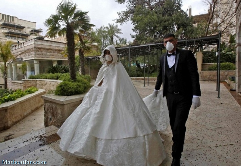 تلاش فارس برای دستیابی به الگوی عروسی بدون آلودگی ویروسی