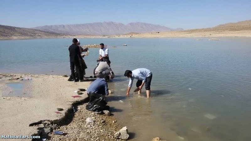 اقدامی که در فیروزآباد خبرساز شد