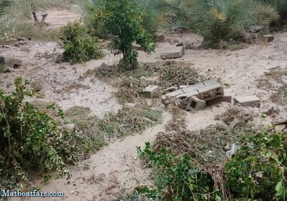 سیل و بارندگی ۹۱ میلیارد ریال به کشاورزی کازرون خسارت زد