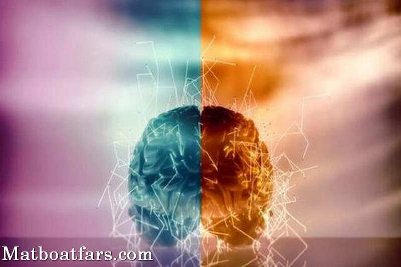 زباله‌هایی که مغز را زودتر از موعد پیر می‌کنند
