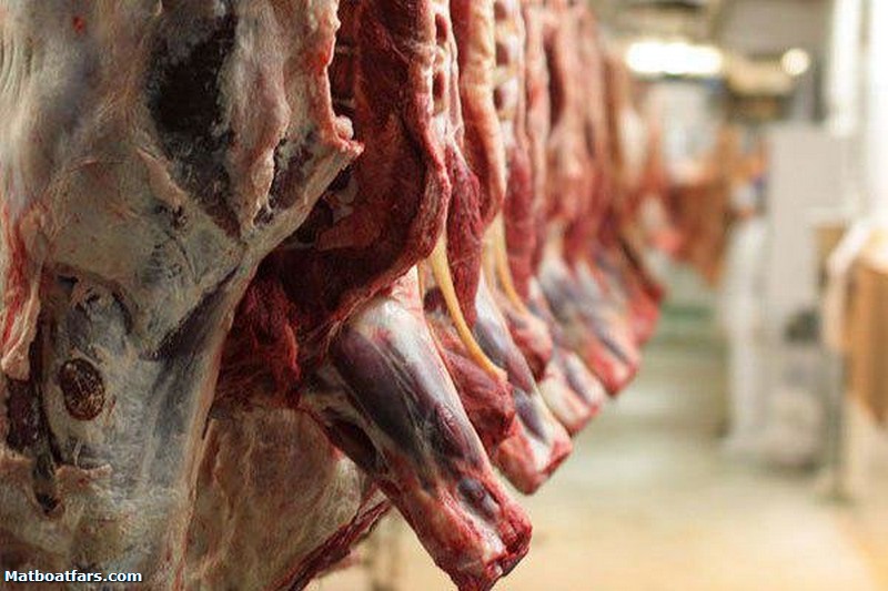 کاهش ۲۰ هزارتومانی قیمت گوشت گوسفندی