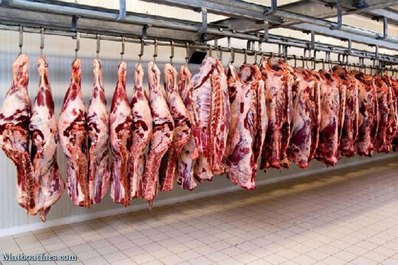 قیمت خرید گوشت قرمز ۷۲ هزار تومان است