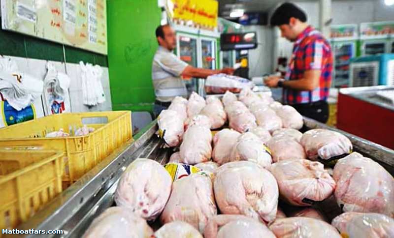 توزیع مرغ منجمد در فارس تا رسیدن بازار به قیمت مصوب ادامه دارد