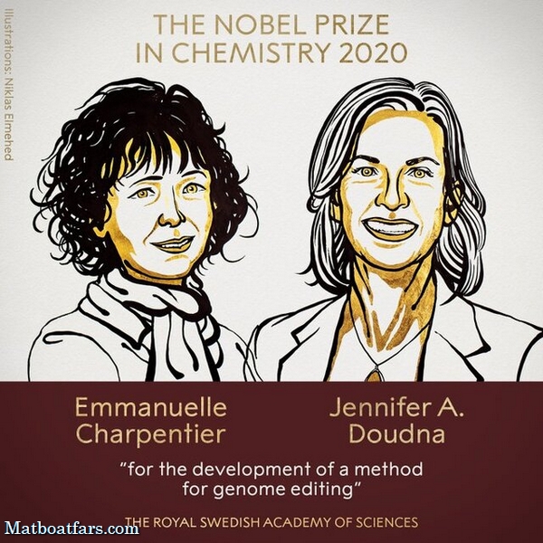 نوبل شیمی ۲۰۲۰ به توسعه دهندگان "قیچی ژنتیکی" رسید